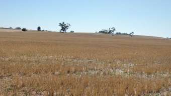 Farm Property for Sale - Lot 28 O&amp;apos;Connell Road Bordertown SA 5268