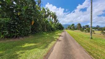 Farm Property for Sale - Lot 1 Ellis Road Bellenden Ker QLD 4871