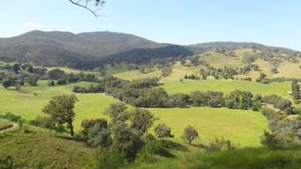 Farm Property for Sale - 175 Tinmines Road Mullengandra NSW 2644