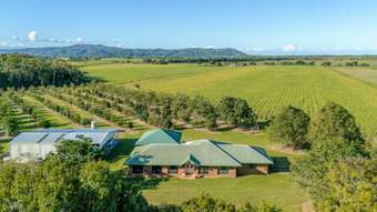 Farm Property for Sale - 89-125 Somerset Drive Miallo QLD 4873