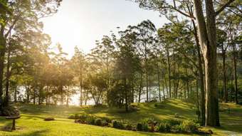 Farm Property for Sale - 111 Binnaburra Park Road Longreach NSW 2540