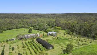 Farm Property for Sale - 265 Stottenville Road Bauple QLD 4650