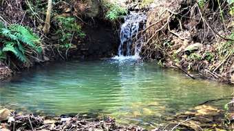 Farm Property for Sale - 163 Ravensbourne Dip Road Ravensbourne QLD 4352