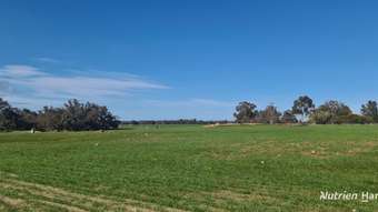 Farm Property for Sale - 383 Neymerup Road Boscabel WA 6394