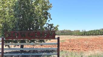 Farm Property for Sale - 3739 Lachlan River Road Hillston NSW 2675