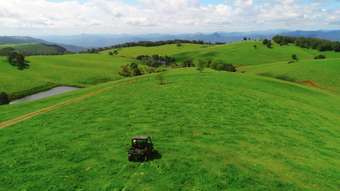 Farm Property for Sale - Dorrigo NSW 2453