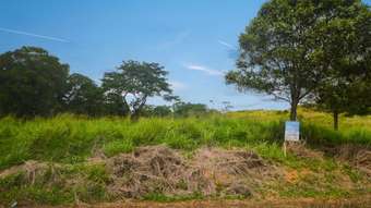 Farm Property for Sale - 48 Hill End Road Lower Cowley QLD 4871