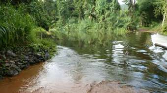 Farm Property for Sale - Japoonvale QLD 4856