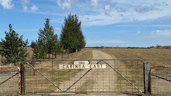 Farm Property for Sale - 180 Mannus Flats Road Mannus NSW 2653