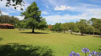 Farm Property for Sale - 24 Kingsford Road Logans Crossing NSW 2439