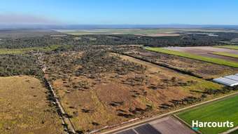 Farm Property for Sale - 0 Palm Springs Drive Calavos QLD 4670