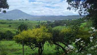 Farm Property for Sale - 48 Boxsell Road Limpinwood NSW 2484