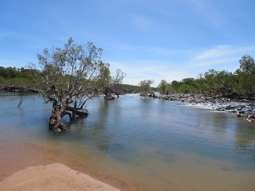 2 Bolwarra Road Chillagoe QLD 4871