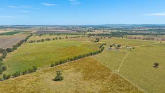Farm Property for Sale - 69 Nelligan Road Gooloogong NSW 2805