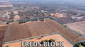 Farm Property for Sale - L151 Winkie Road Winkie SA 5343