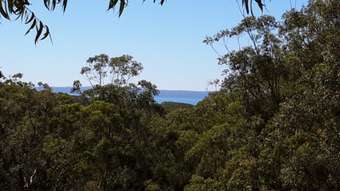 Farm Property for Sale - 598 German Church Road Redland Bay QLD 4165