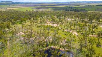 Farm Property for Sale -  Harrigan Road Sandy Camp QLD 4361