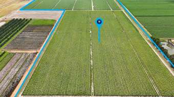 Farm Property for Sale - Lot 2 Barazzas Road Alloway QLD 4670