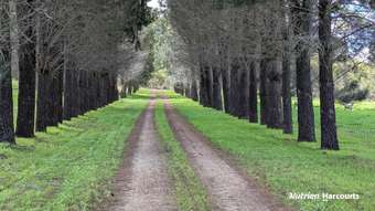 Farm Property for Sale - Lot 11 Woodbine Road Regans Ford WA 6507