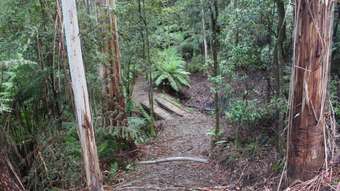 Farm Property for Sale - 574 Apollo Bay-Forrest Road Barramunga VIC 3249