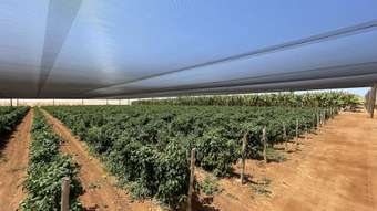 Farm Property for Sale - 1019 North River Road North Plantations WA 6701