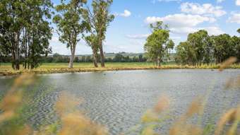 Farm Property for Sale - 338 Darley Estate Road Kunioon QLD 4615