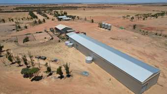 Farm Property for Sale - Lake Moore Goodlands WA 6468