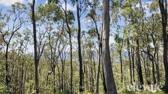 Farm Property for Sale -  Little Reids Creek Road Mount Perry QLD 4671