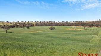 Farm Property for Sale - Lot 50 Fendlers Road Tungkillo SA 5236