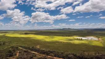 Farm Property for Sale - Dimbulah QLD 4872