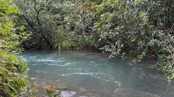 Farm Property for Sale - Lot 13 Mount Gardiner Road Bemerside QLD 4850