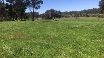 Farm Property for Sale - "Swee Riverway Road Northcliffe WA 6262