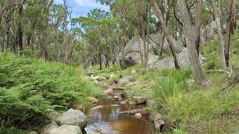 Farm Property for Sale - 1214 Mt McKenzie Road Tenterfield NSW 2372