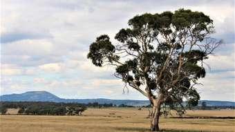 Farm Property for Sale -  Lightfoot Lane Napoleons VIC 3352