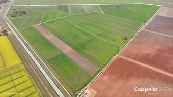 Farm Property for Sale - 1390 Whitton Darlington Point Road Whitton NSW 2705