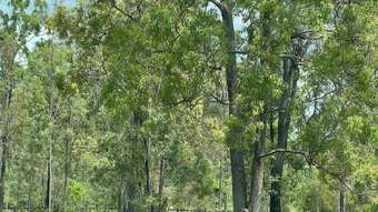 Farm Property for Sale - 32 Duke Court Mount Hallen QLD 4312