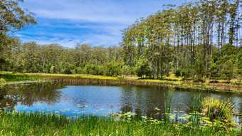 Farm Property for Sale - Lot 183 Bellthorpe West Road Bellthorpe QLD 4514