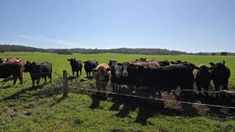 Farm Property for Sale - 60 Skippings Road Kordabup WA 6333