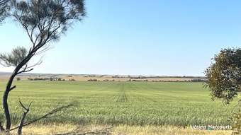 Farm Property for Sale - 471 Dring Road Bunjil WA 6623