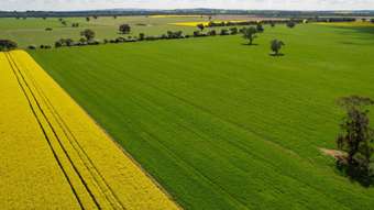 Farm Property for Sale - 1167 Walbundrie Road Culcairn NSW 2660