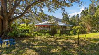 Farm Property for Sale - 293 Tyalgum Creek Road Tyalgum Creek NSW 2484