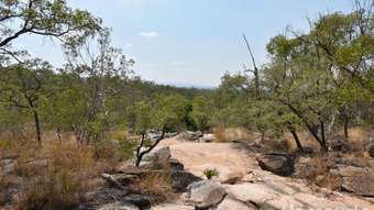 Farm Property for Sale - Eureka QLD 4660