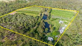 Farm Property for Sale - 707 Birthamba Road South Kolan QLD 4670