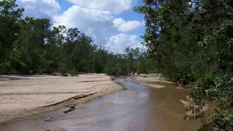 Farm Property for Sale - 140 Toscavale Road Black River QLD 4818