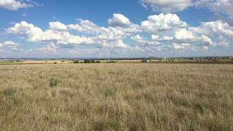 Farm Property for Sale - 250 Clifton-Leyburn Road Kings Creek QLD 4361