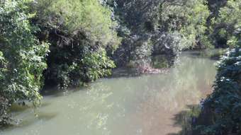 Farm Property for Sale - 175 Mud Flat Road Drake NSW 2469