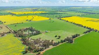 Farm Property for Sale - 162 Back Ferndale Road Rand NSW 2642