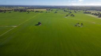 Farm Property for Sale - Glenrowan 209 Washington Road Katanning WA 6317