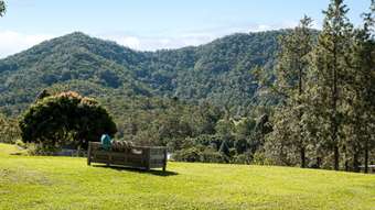 Farm Property for Sale - 66 Morrison Road Cedar Creek QLD 4207