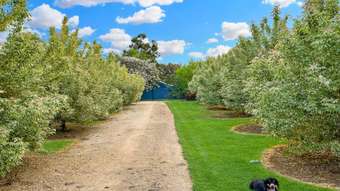 Farm Property for Sale - 20 Square Road Moorbel NSW 2804